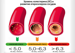 Тестостерон у мужчин