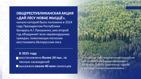 image10